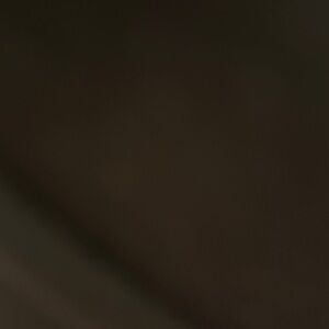 Floral Lace Trim Corset Top